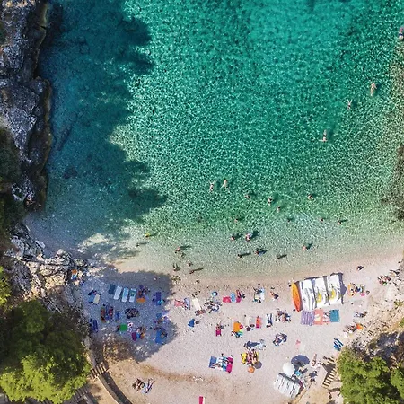 Lovely In With Wifi * פולה